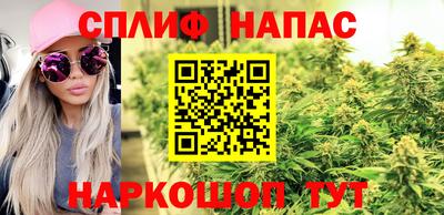 мяу мяу мука Малоярославец