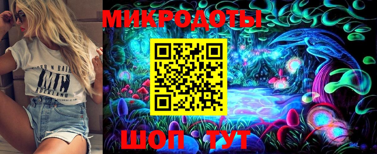 Псилоцибиновые грибы Psilocybe Владимир