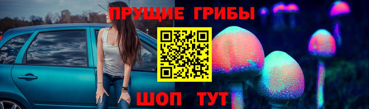 Псилоцибиновые грибы MAGIC MUSHROOMS  Вход с VPN  Владимир 